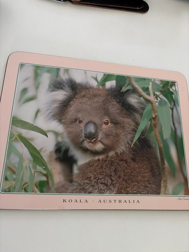 Onderzetter met Koala - Australië, Ophalen of Verzenden, Zo goed als nieuw