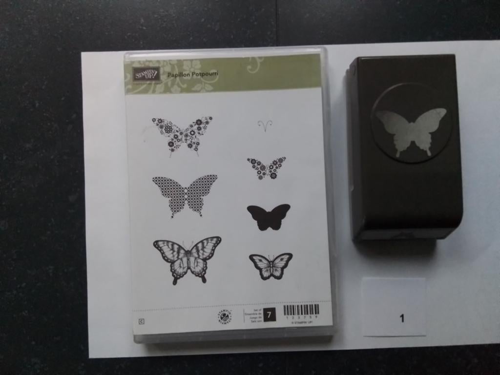 Stampin Up stempels + punch, Ophalen of Verzenden, Zo goed als nieuw, Clearstamp