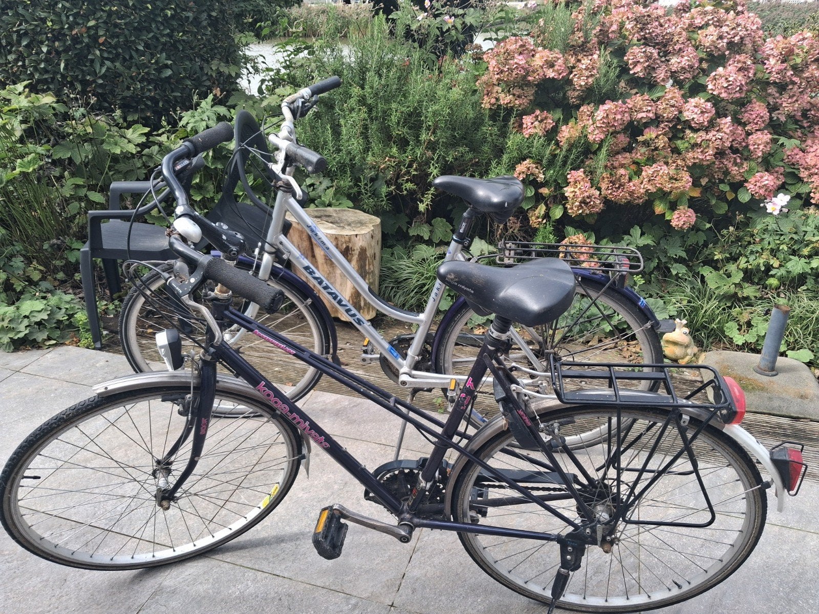 Damesfietsen: Batavus Jakima & Koga-Miyata Adventure Lady, Ophalen, Velgrem, (Extra) lage instap, Batavus