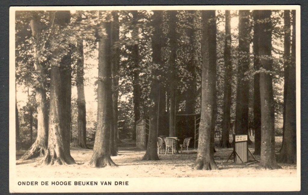 Oude ansicht PUTTEN Onder de hooge beuken van drie 1941 Gld., Ophalen of Verzenden, 1940 tot 1960, Gelopen, Gelderland