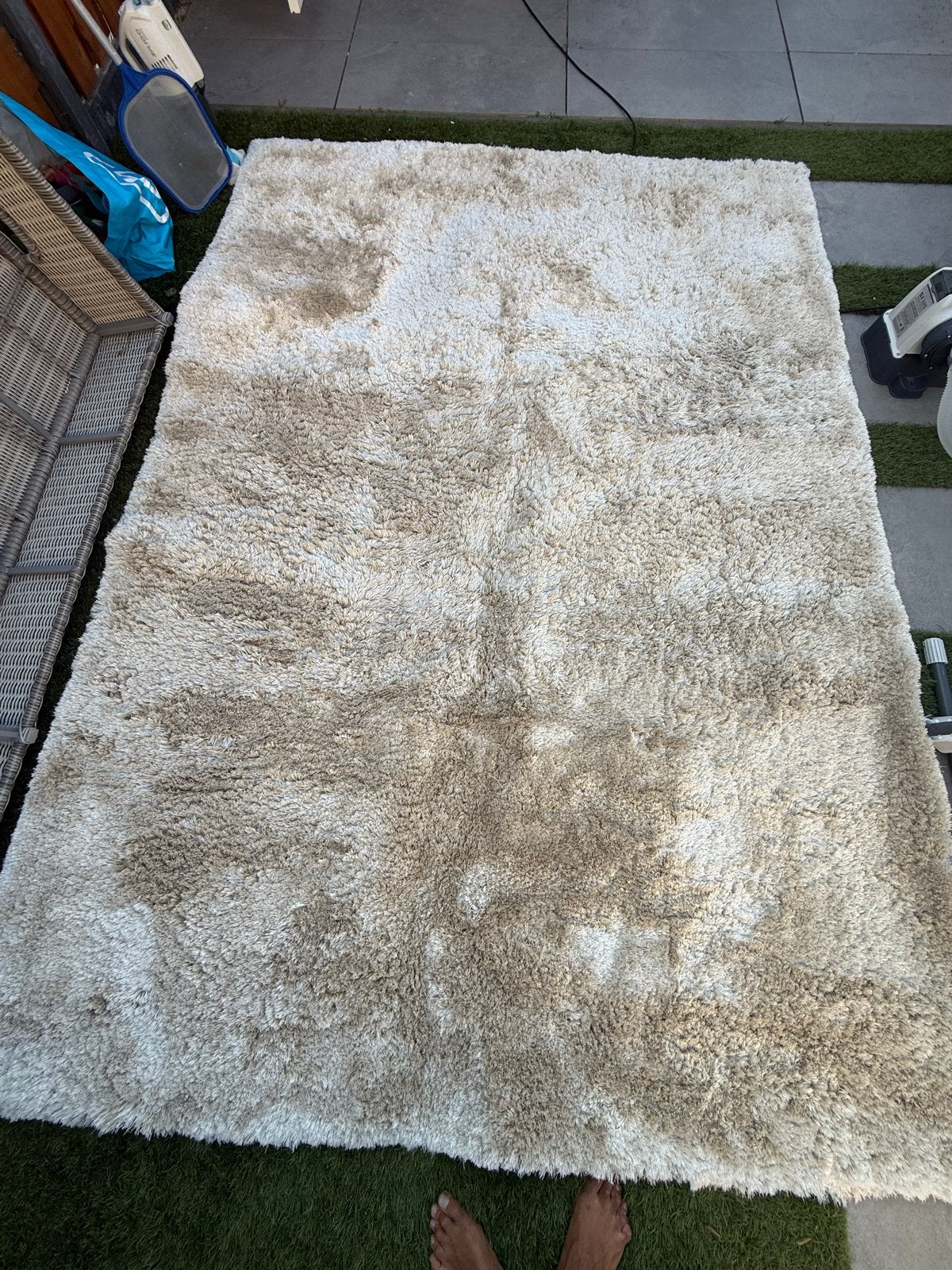 Hoogpolig vloerkleed - Glorious Champagne/Crème, Ophalen, Zo goed als nieuw, 200 cm of meer, Crème