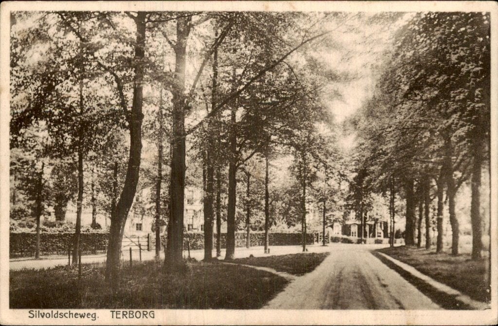 Terborg - Silvoldscheweg - Boomlaan, Ophalen of Verzenden, 1920 tot 1940, Gelopen, Gelderland