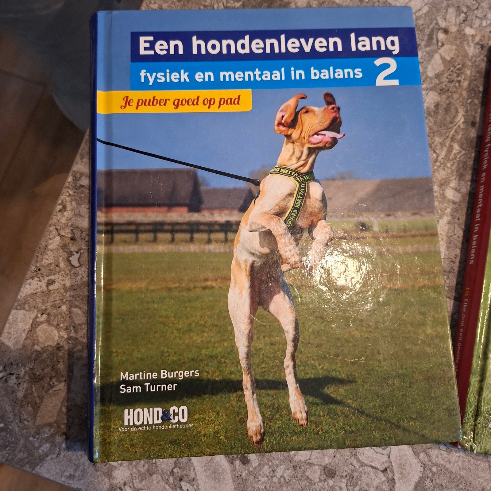 Hondenboeken: Kalmerende Signalen & Een Hondenleven Lang, Verzenden, Zo goed als nieuw, Honden, Turid Rugaas, Martine Burgers, Sam Turner