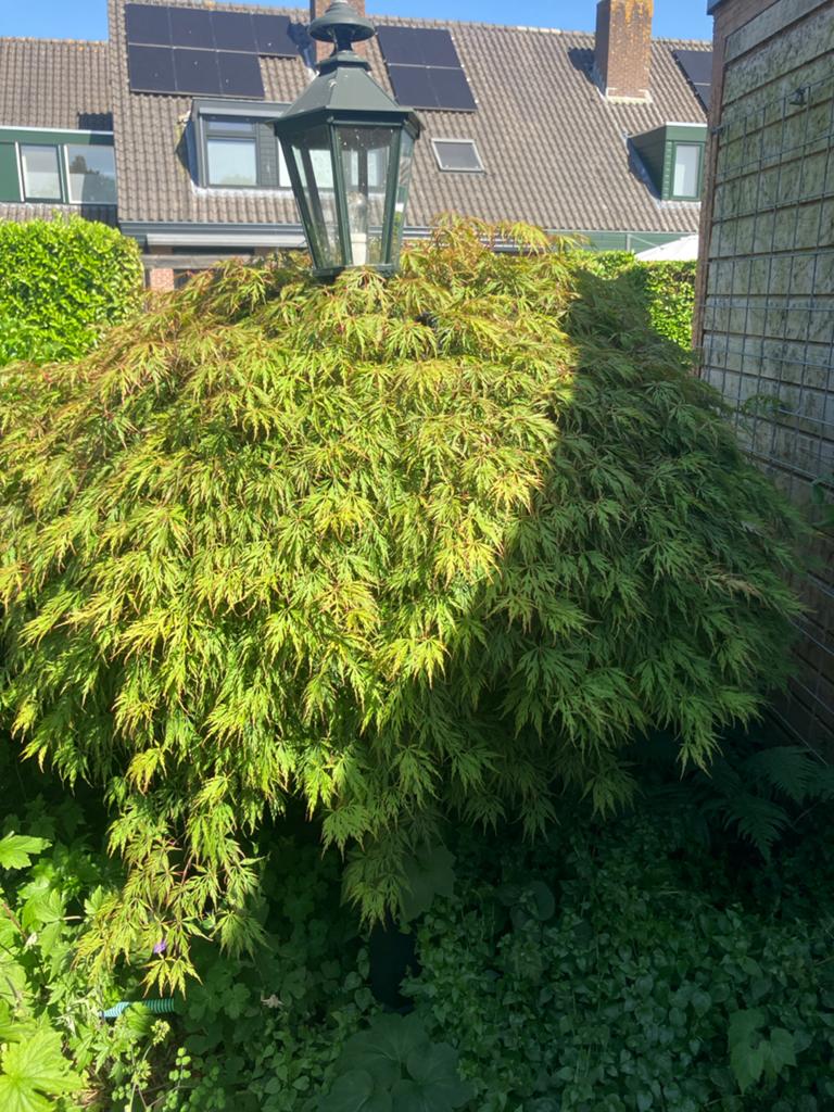 Klassieke Tuin Lantaarnpaal - Sfeervolle Buitenverlichting, Tuin en Terras, Ophalen, Gebruikt, Staande lamp, Netvoeding