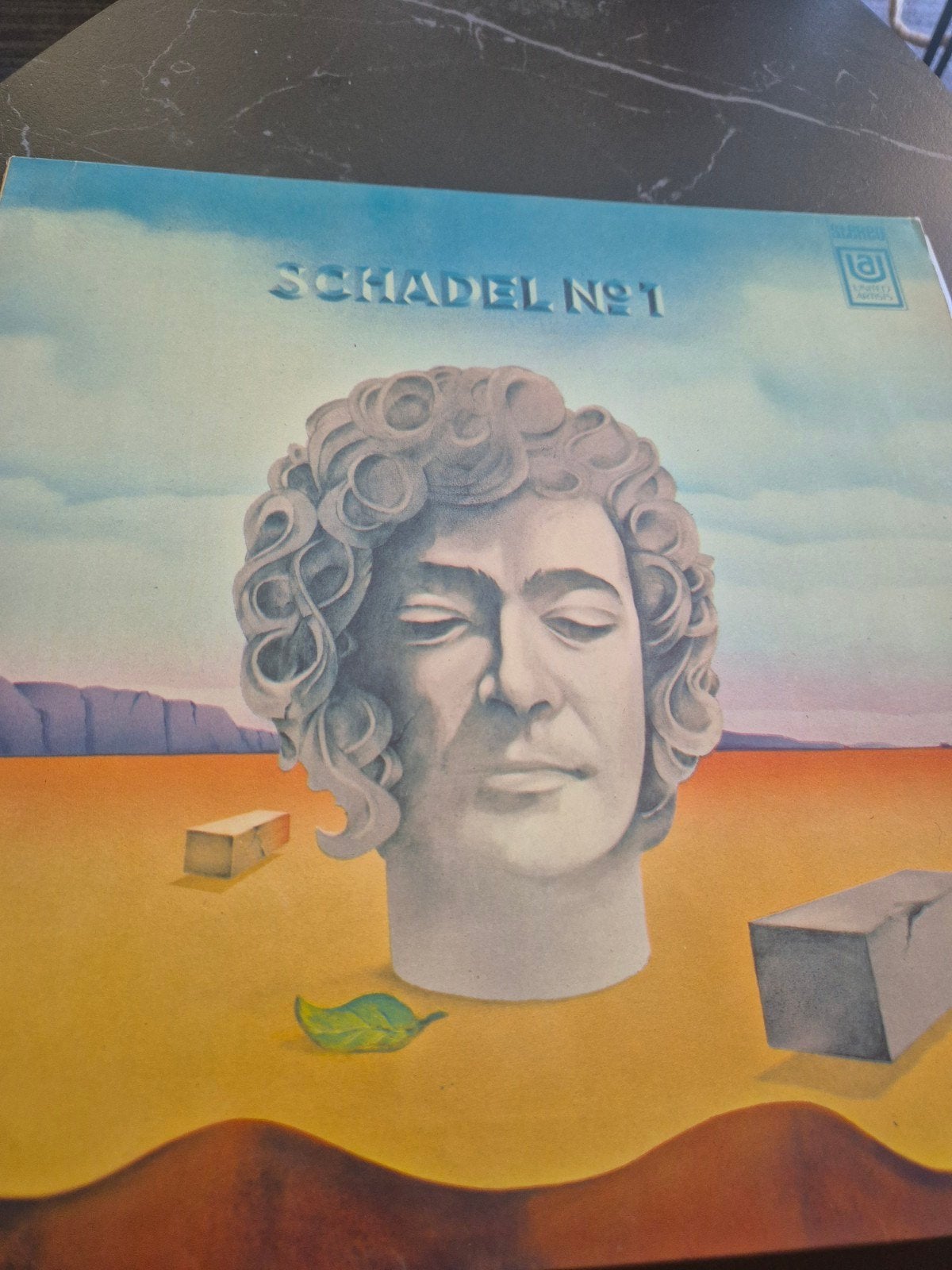 Schadel, Ophalen of Verzenden, Gebruikt, 12 inch, Poprock