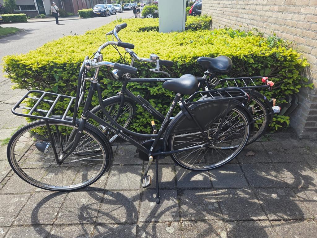 Twee Batavus Old Dutch fietsen (opa & oma fiets) opknappers, Ophalen, Terugtraprem, Versnellingen, Batavus