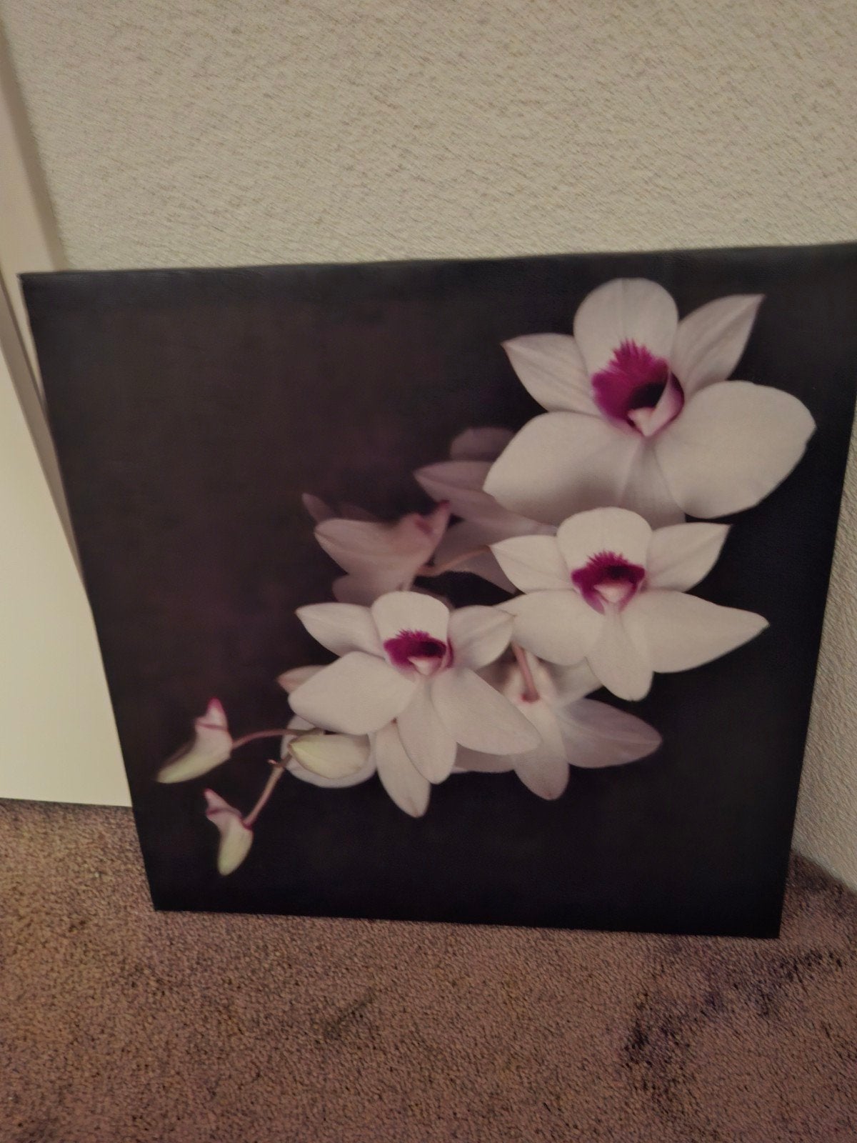 schilderij Orchideeën, Ophalen, Schilderij