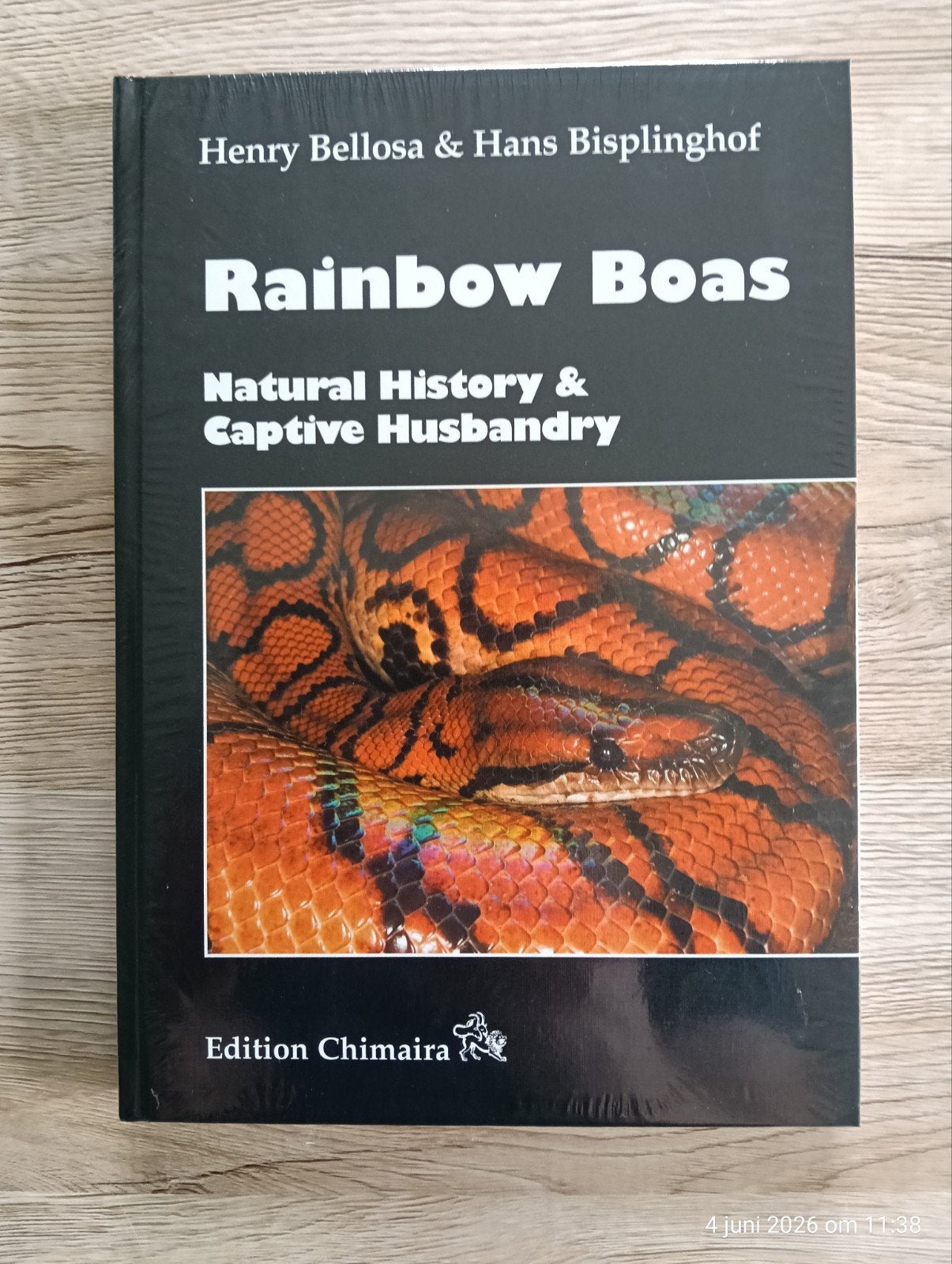 Rainbow Boas, Ophalen of Verzenden, Nieuw
