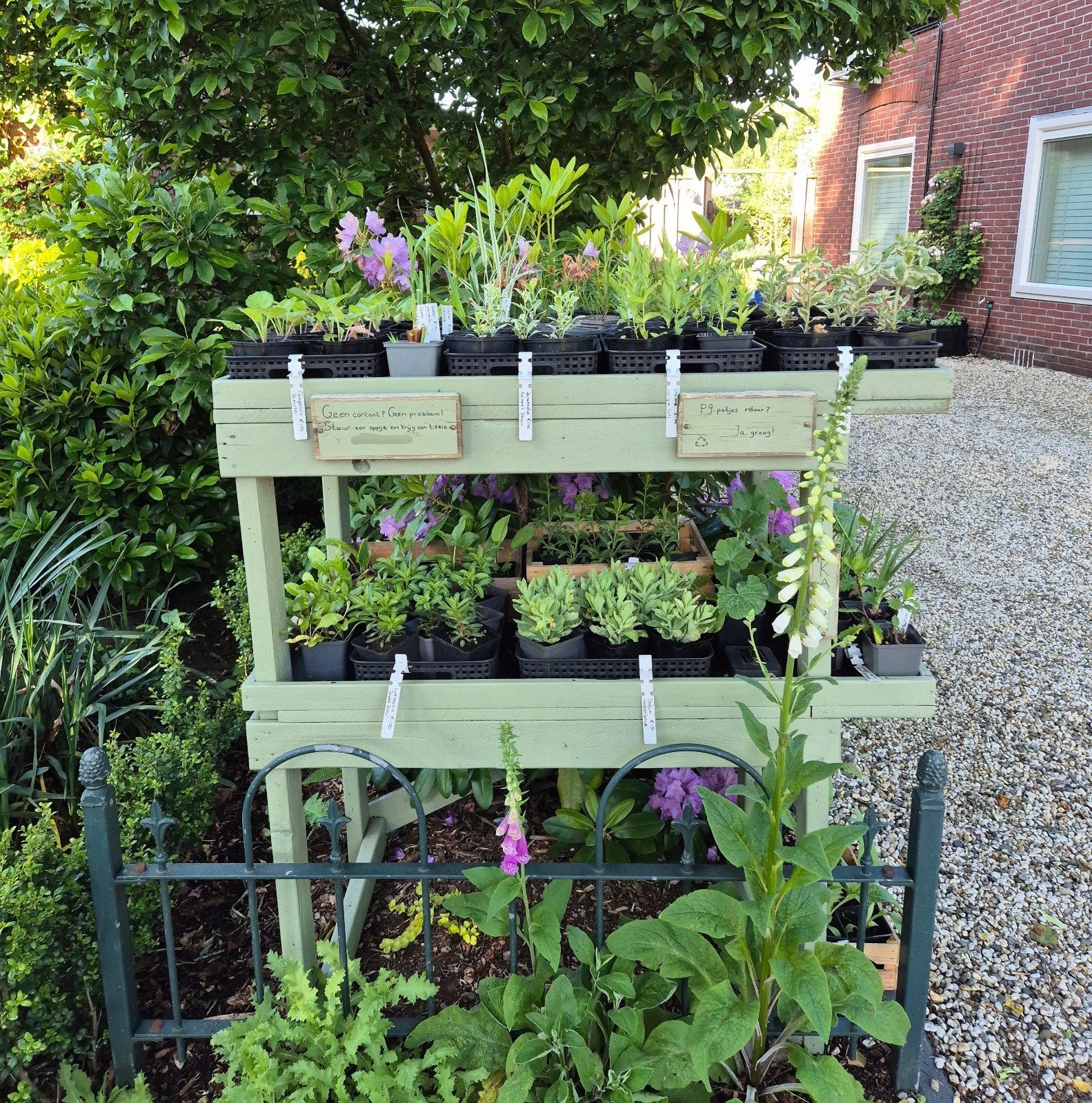 Plantenkraam | Vaste planten, Tuin en Terras, Planten | Tuinplanten, Ophalen