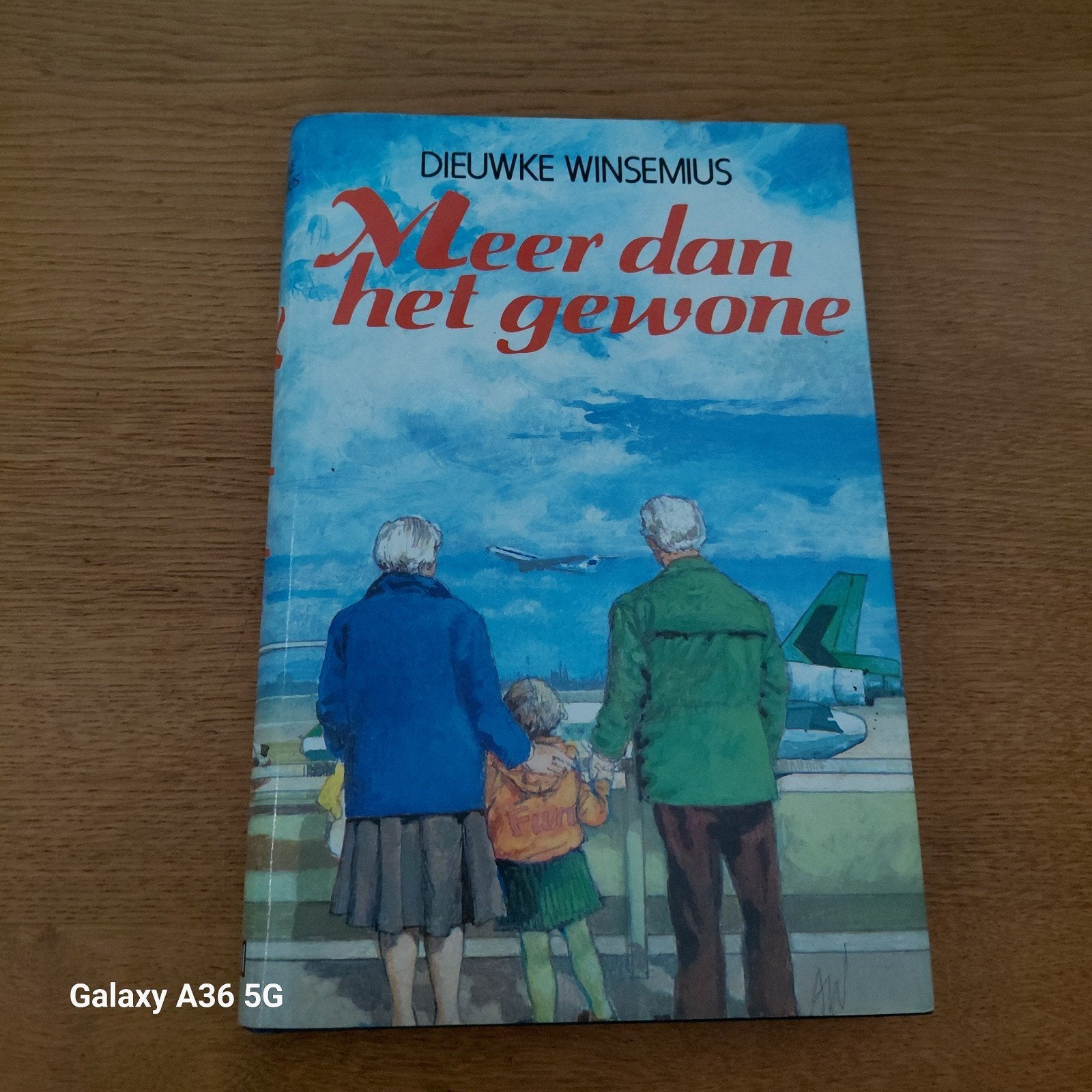 Meer dan het gewone - Dieuwke Winsemius, Boeken, Ophalen of Verzenden, Gelezen, Dieuwke Winsemius, Nederland