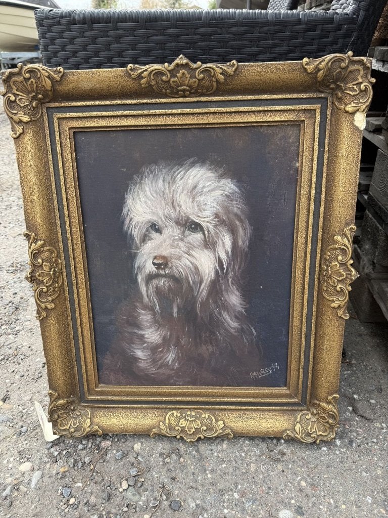 Schilderij hondenportret hond in gouden barok lijst, Antiek en Kunst, Kunst | Schilderijen | Klassiek, Ophalen, Ingelijst
