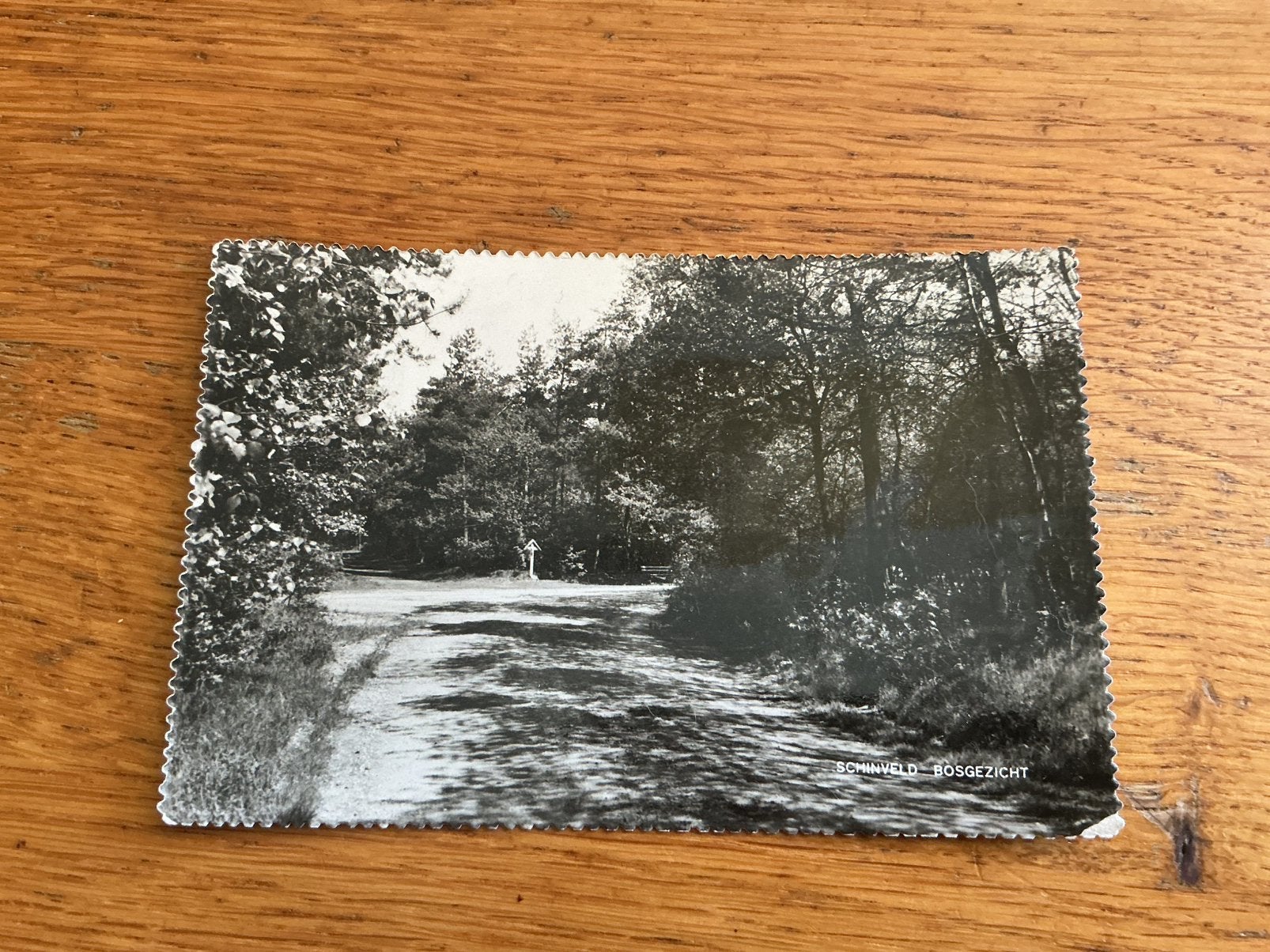 O356 Schinveld bos hoekje licht beschadigd, Verzamelen, Ophalen of Verzenden