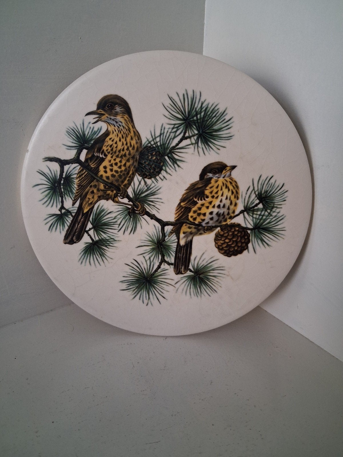 Vintage Engelse theepot onderzetter met vogels • Jaren 70, Ophalen of Verzenden