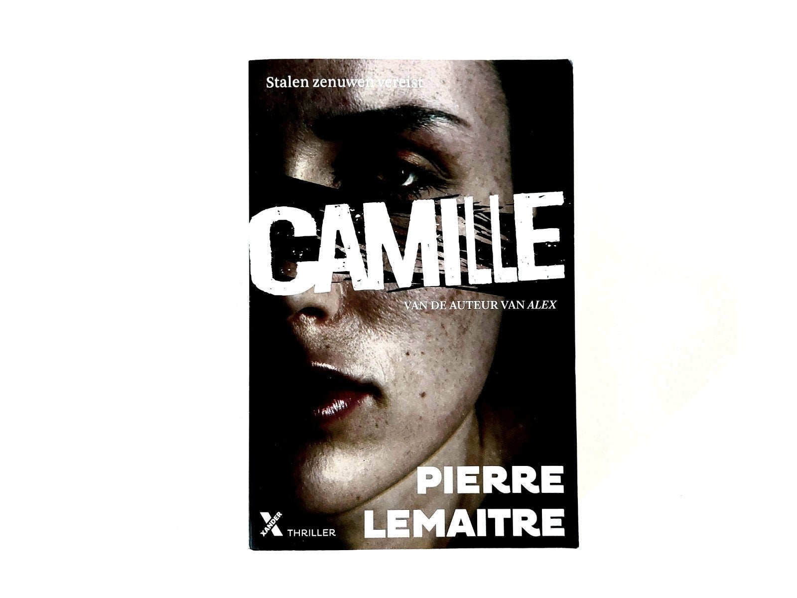 Pierre Lemaitre - Camille, Boeken, Ophalen of Verzenden, Zo goed als nieuw, Pierre Lemaitre