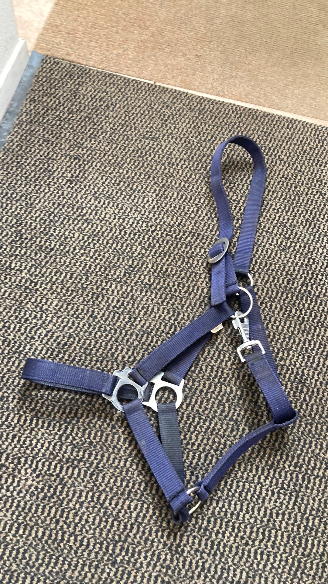 Halster, Dieren en Toebehoren, Gebruikt, Ophalen of Verzenden, Blauw, Halster