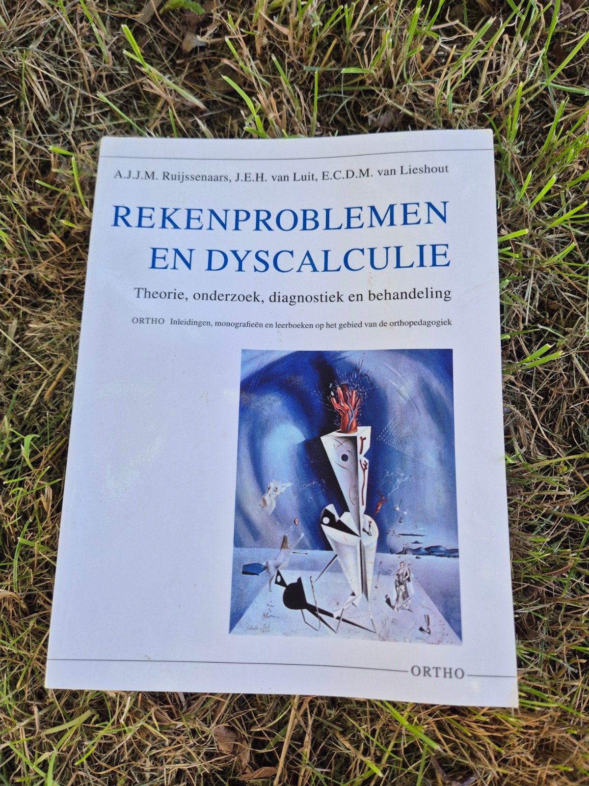 Rekenproblemen en dyscalculie - A.J.J.M Ruijssenaars, Beta, HBO, Ophalen of Verzenden, Ruijssenaars