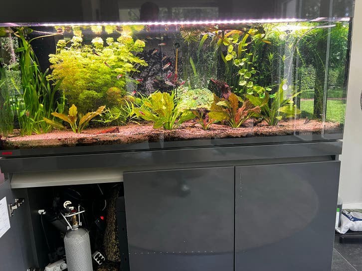 Aquarium 160x60x60, Dieren en Toebehoren, Ophalen, Zo goed als nieuw, Leeg aquarium