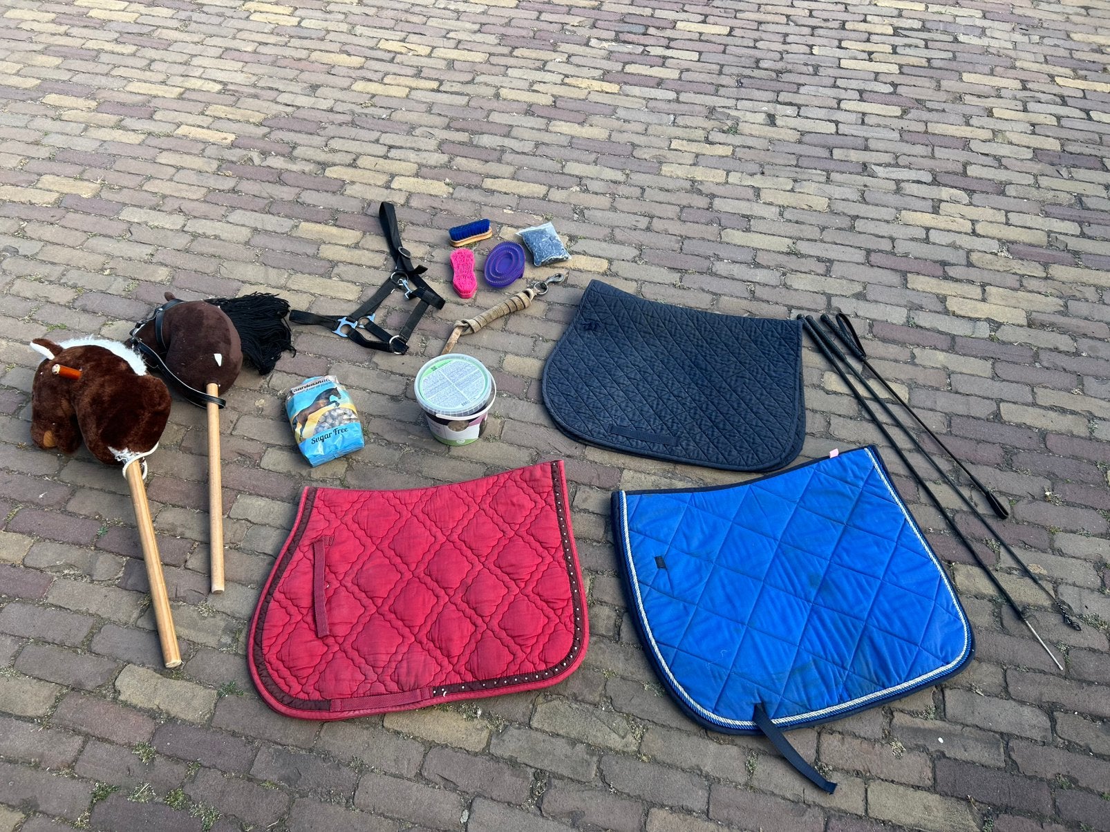 Paarden spullen, Epplejeck, Ophalen, Gebruikt, Overige typen