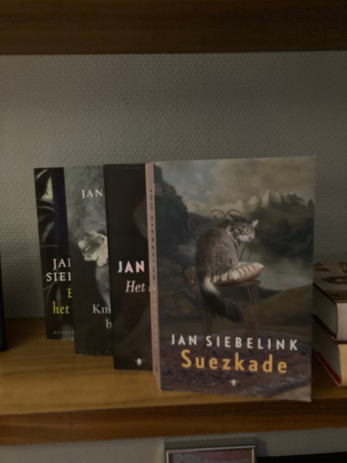 Vier romans van de schrijver Johan Siebelink, Verzenden, Gelezen, Nederland