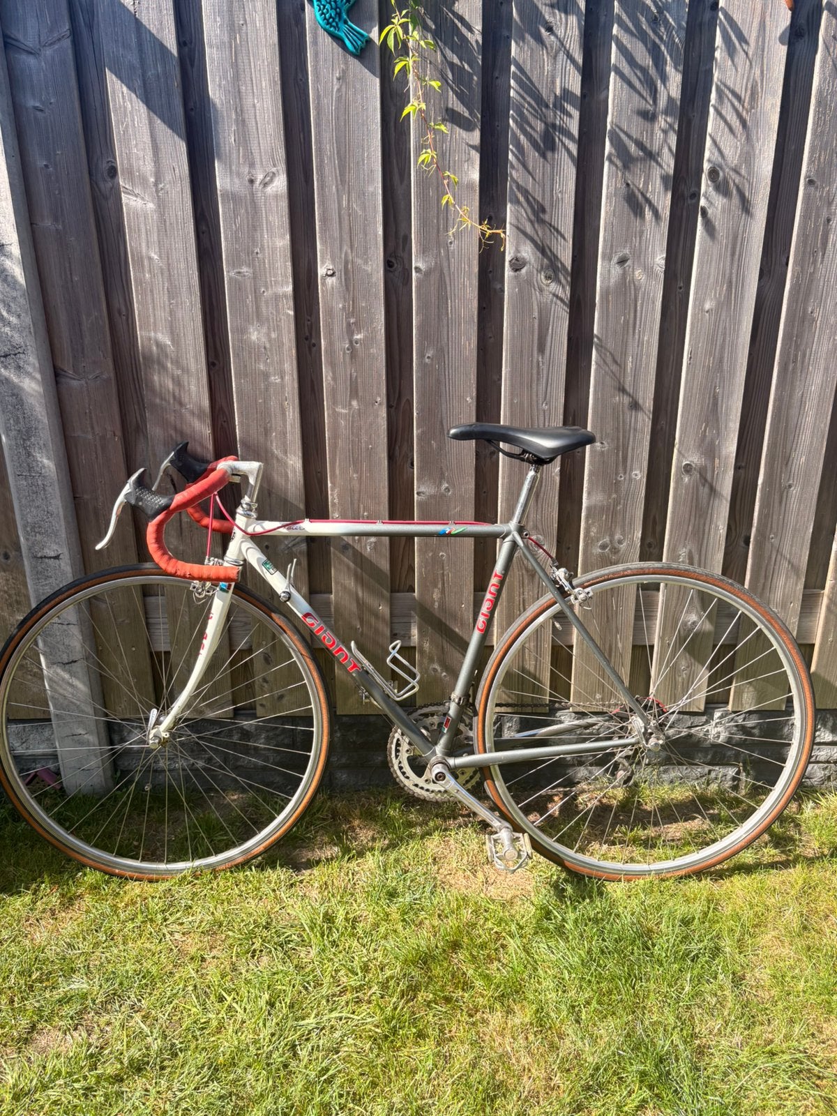 Giant Pacer retro/vintage racefiets, Fietsen en Brommers, Fietsen | Racefietsen, Ophalen, 10 tot 15 versnellingen, Velgrem, Aluminium