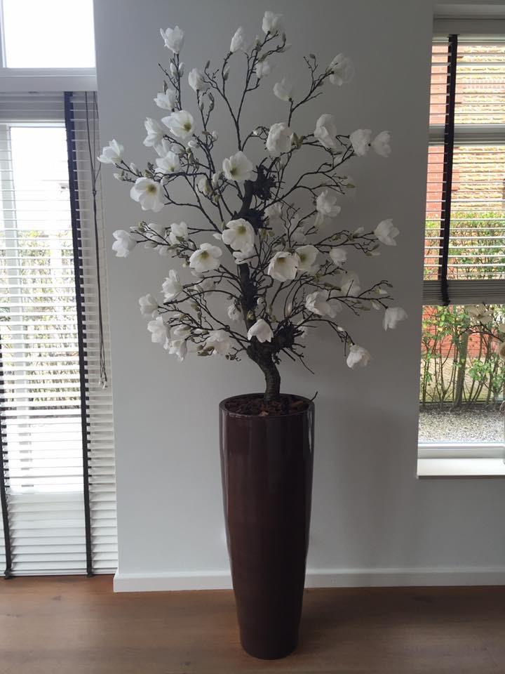 Magnolia kunst boom, Binnen, Gebruikt, Handgemaakt, Wit