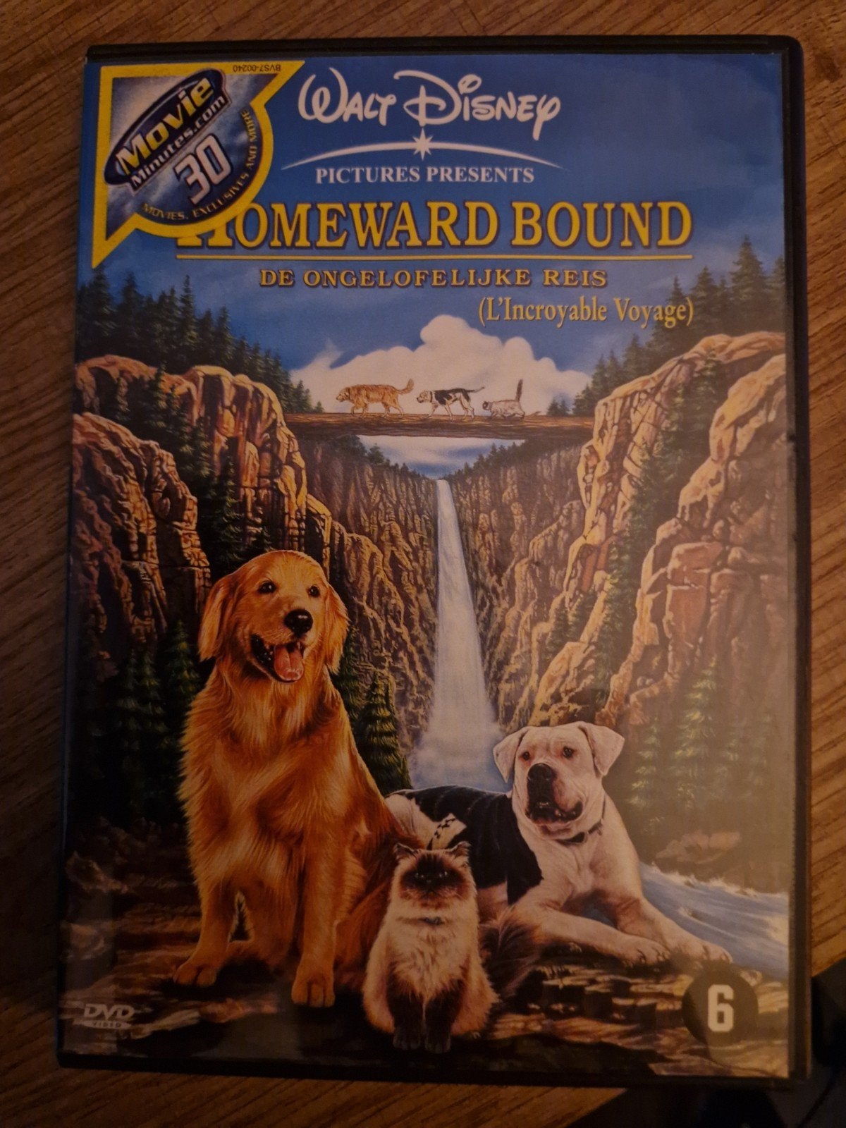 Disney homeward bound, Alle leeftijden, Ophalen of Verzenden, Zo goed als nieuw