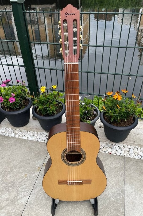 7‑String Professional Brazilian Classical Guitar Giannini, Ophalen, Zo goed als nieuw, Klassieke of Spaanse gitaar