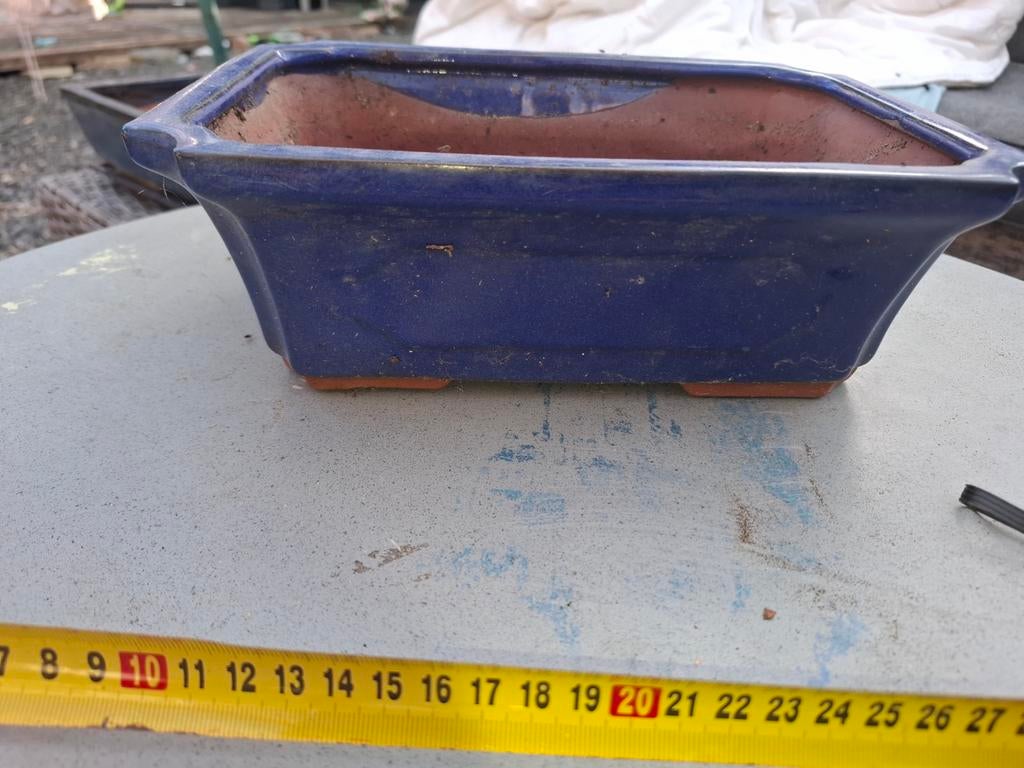 Bonsai schaal, Ophalen of Verzenden, Aardewerk, Minder dan 25 cm, Minder dan 40 cm