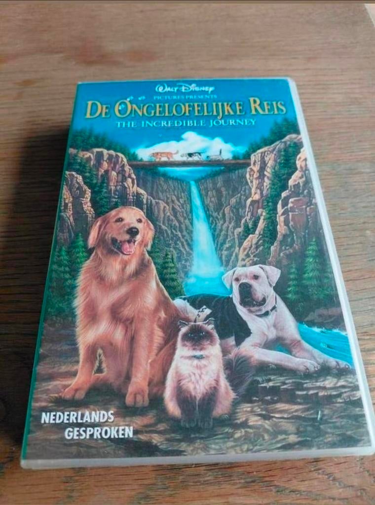 Disney De Ongelooflijke Reis videoband., Alle leeftijden, Ophalen of Verzenden, Gebruikt, Kinderprogramma's en -films