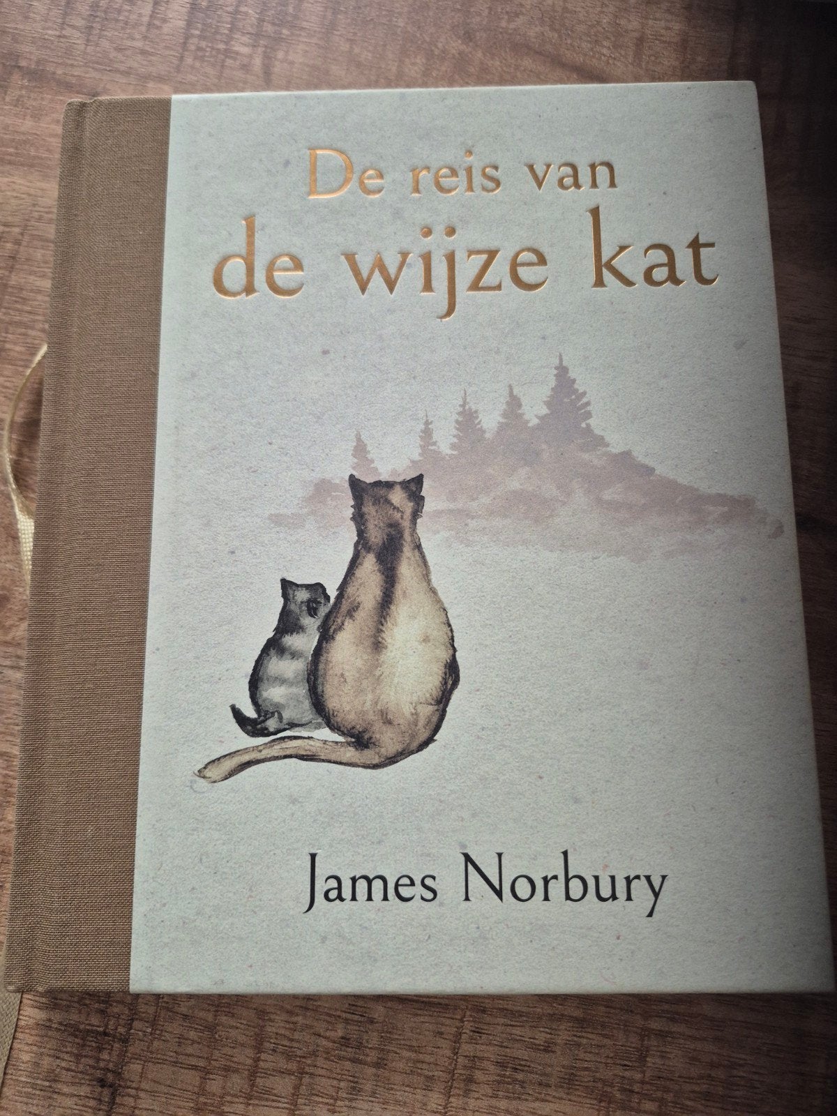 De reis van de wijze kat - James Norbury (Hardcover), Ophalen of Verzenden, Zo goed als nieuw, James Norbury, Europa overig