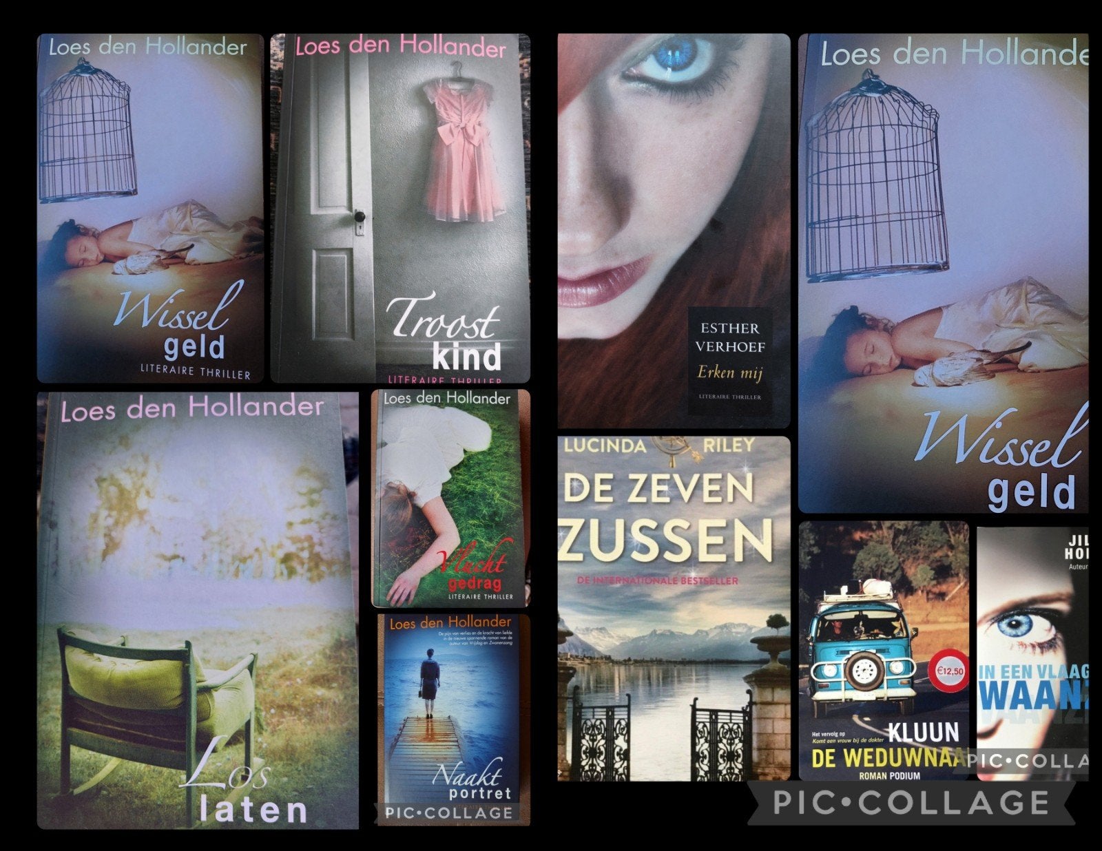 doos vol prachtige thrillers en romans - Loes den Hollander, Ophalen of Verzenden, Gelezen, Diverse auteurs
