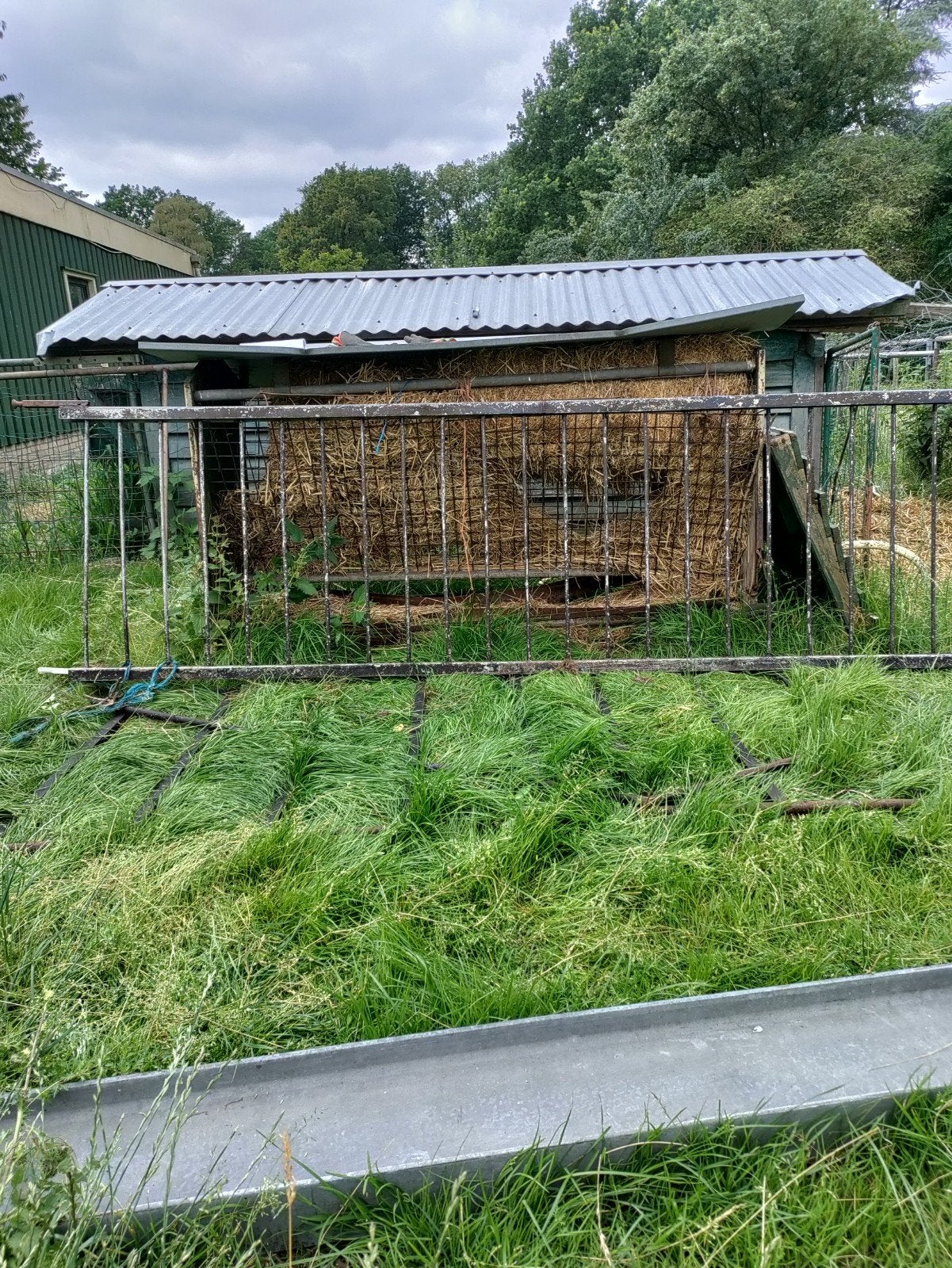 Hek werk, Tuin en Terras, Tuinhekken en Hekwerk, Ophalen, IJzer