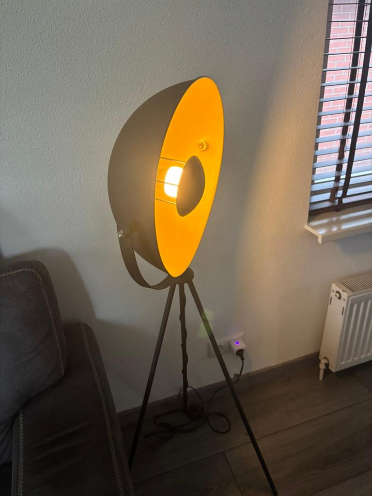 Industriële staande lamp, Ophalen, Zo goed als nieuw, 150 tot 200 cm