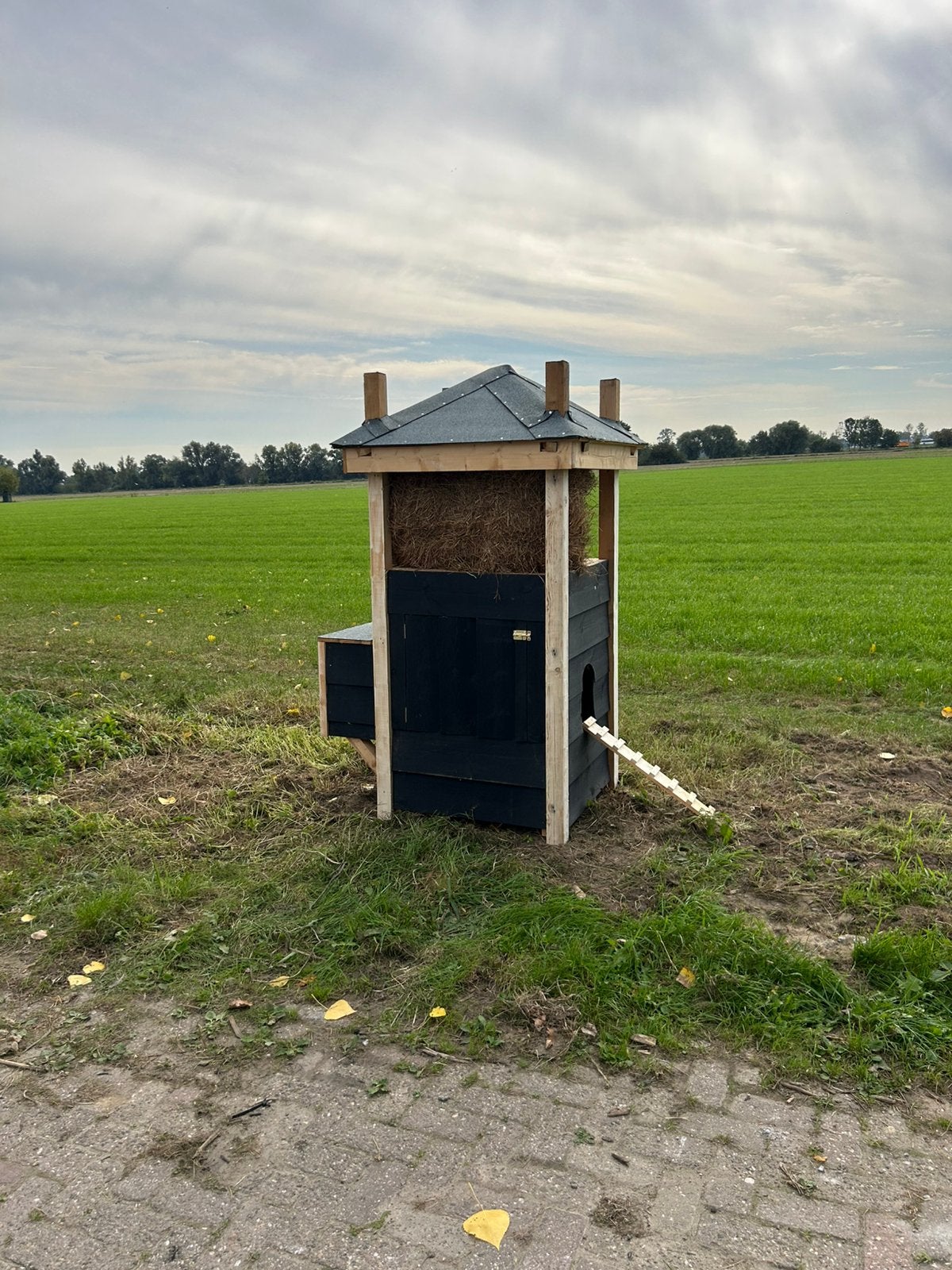 Kippenhok landelijk hooiberg, Ophalen, Zo goed als nieuw, Kippenhok of Kippenren