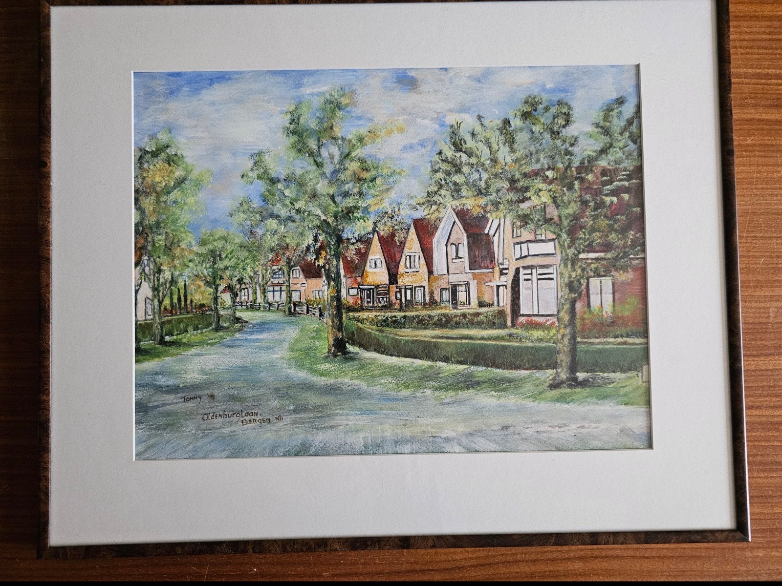 Schilderij Oldenburglaan Bergen NH door Tonny Steeman, Ophalen, Olieverf, Overige materialen, Stadsgezicht
