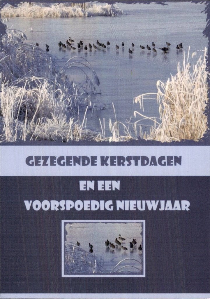 Lisse - Ansichtkaart - Gezegende Kerstdagen, Ophalen of Verzenden, 1980 tot heden, Gelopen, Zuid-Holland
