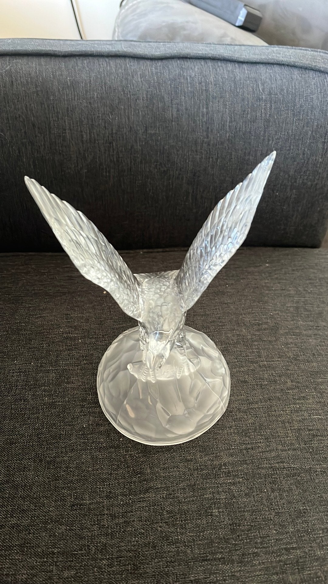 Glazen vogel, Ophalen, Nieuw, Dier