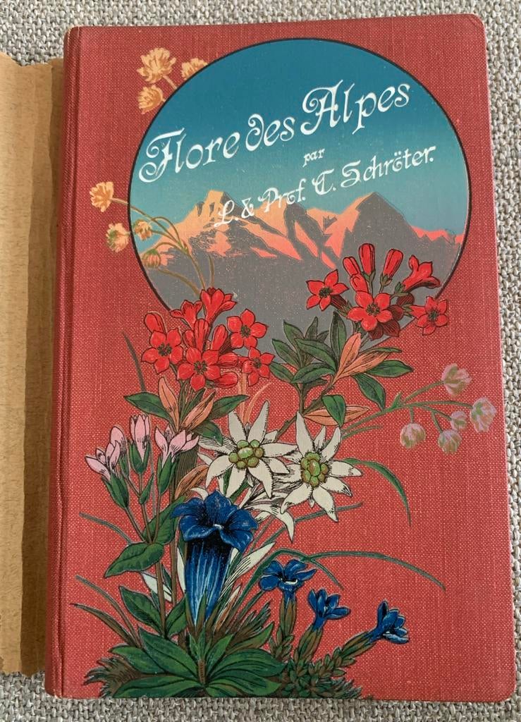 Flora Colorée Portative du Touriste dans les Alpes - 16e/17e, Boeken, Ophalen of Verzenden, Gelezen, Bloemen, Planten en Bomen
