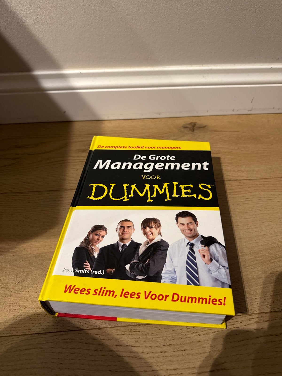 De Grote Management voor Dummies - Complete Toolkit Managers, Ophalen of Verzenden, Gelezen, Management