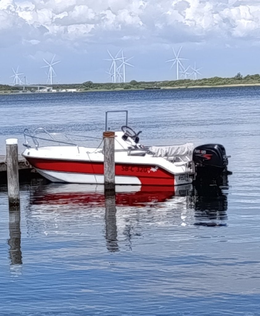 center console-boot met 40pk en trailer, Watersport en Boten, Vis- en Consoleboten, Buitenboordmotor, Ophalen