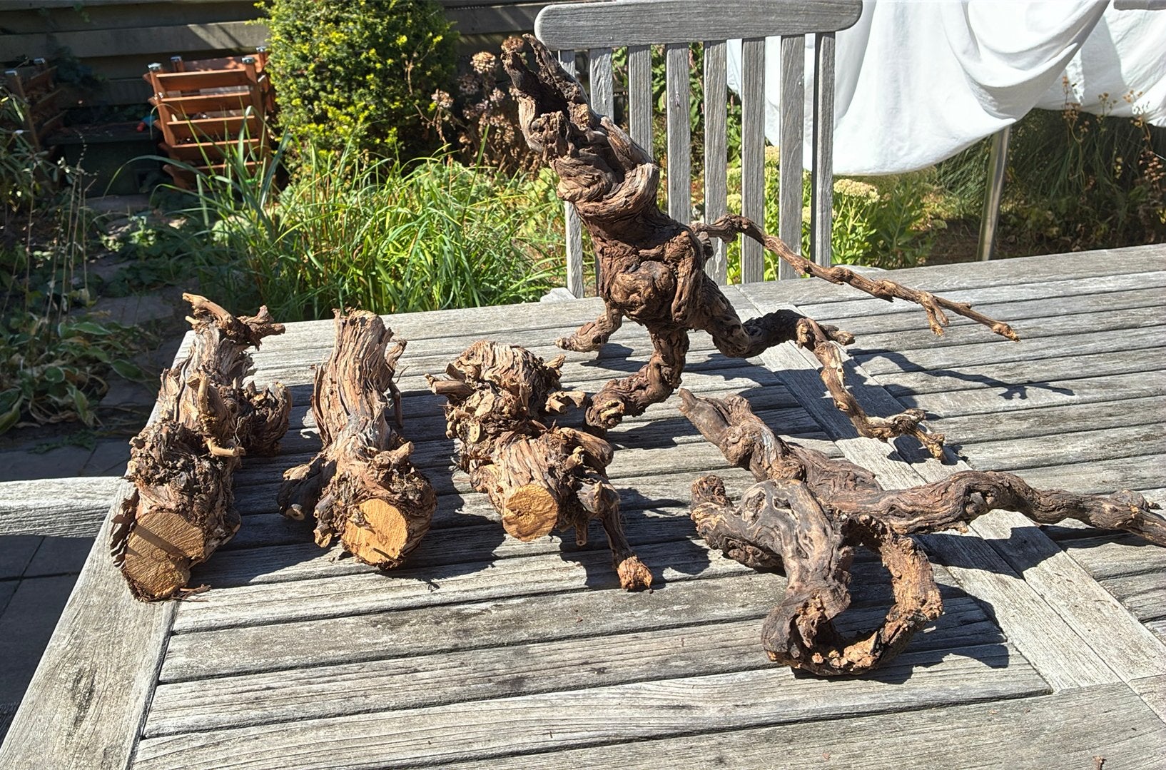 6 wijnrakken/druiventakken, Ophalen, Gebruikt