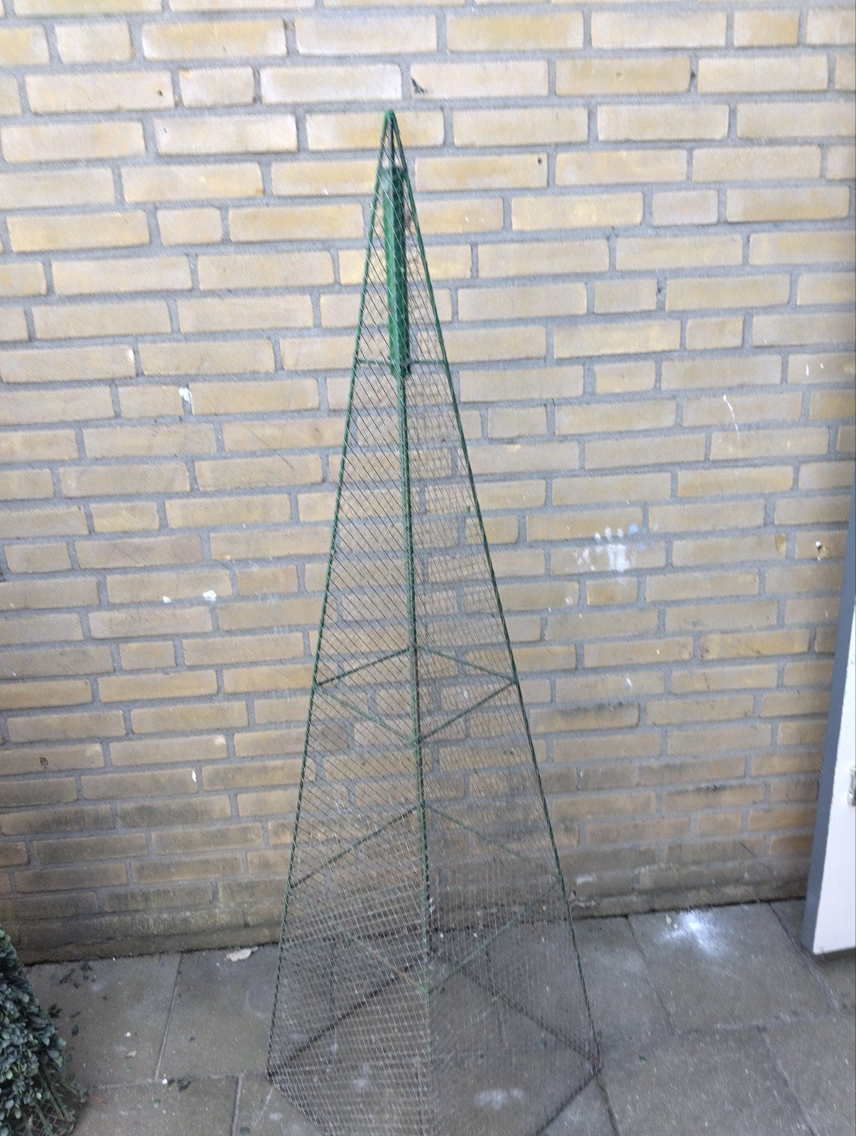 Plantenhouder van ijzer en gaas ., Ophalen, Bloeit niet, Overige soorten, Volle zon