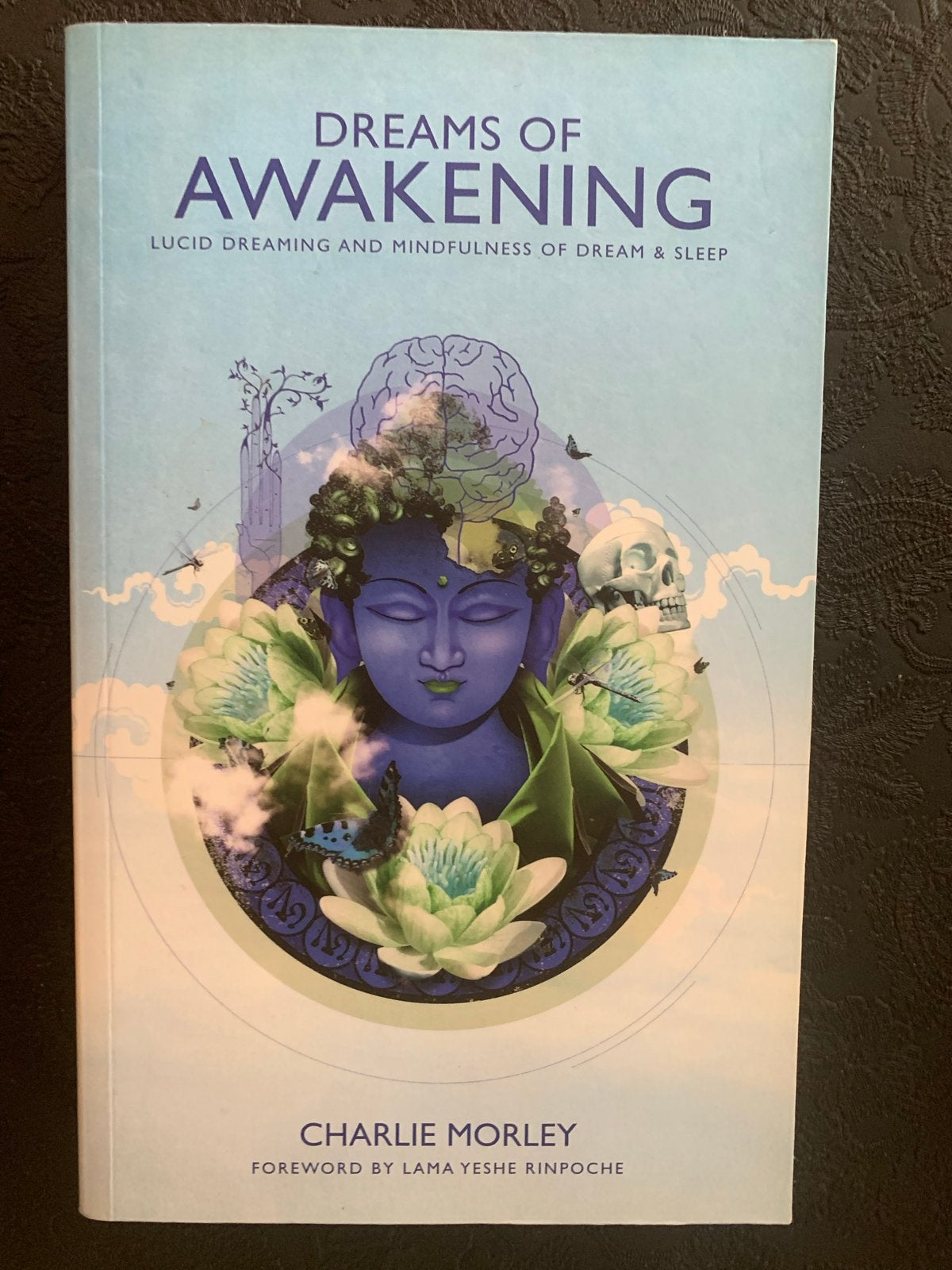 Dreams of Awakening: Lucide Dromen en Mindfulness, Ophalen of Verzenden, Zo goed als nieuw, Spiritualiteit algemeen, Achtergrond en Informatie