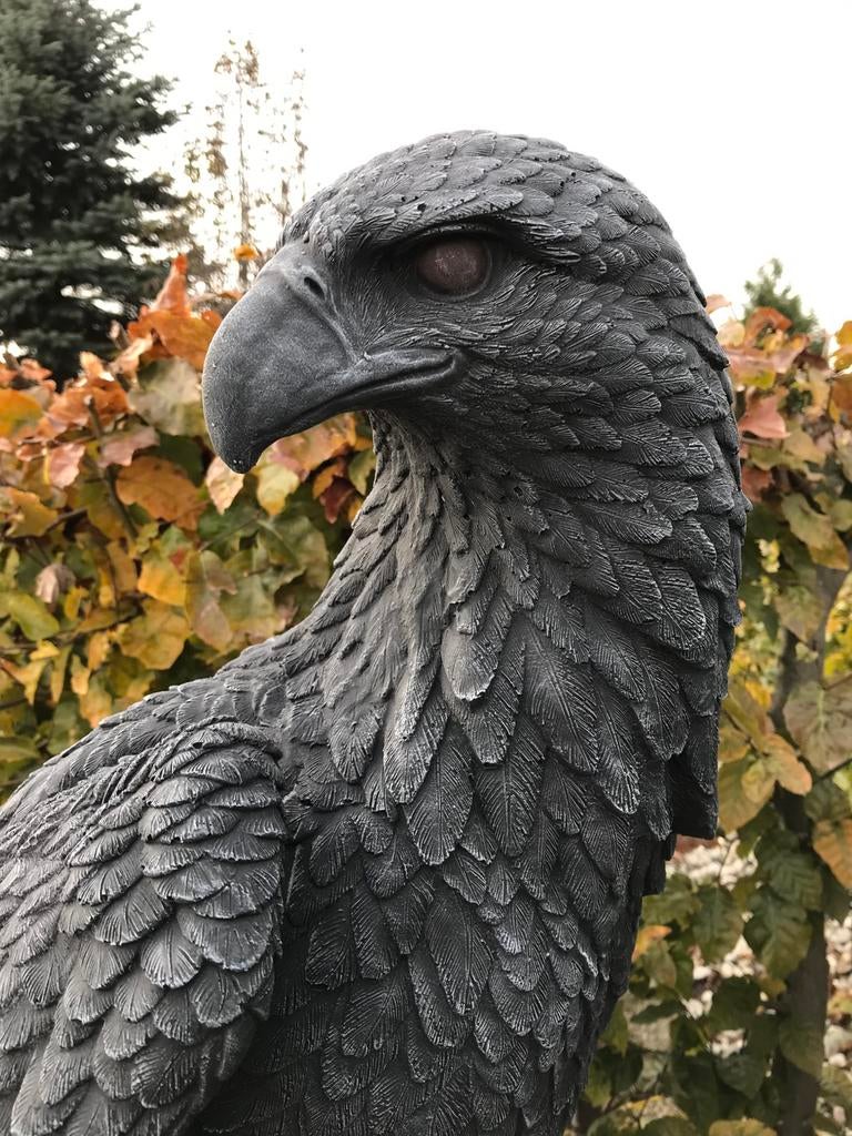 ‼️Adelaar 100kg 106cm Zeearend Roofvogel Eagle Steenarend‼️, Ophalen of Verzenden, Nieuw, Dierenbeeld