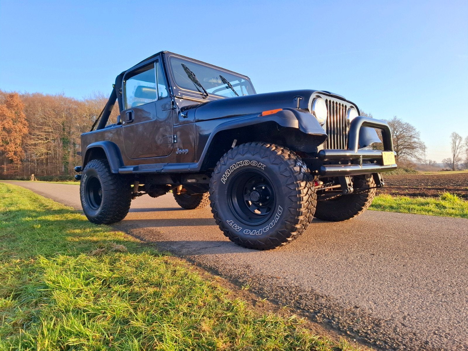 CJ7 4.2 1980, Auto's, CJ, Particulier, Te koop, Benzine
