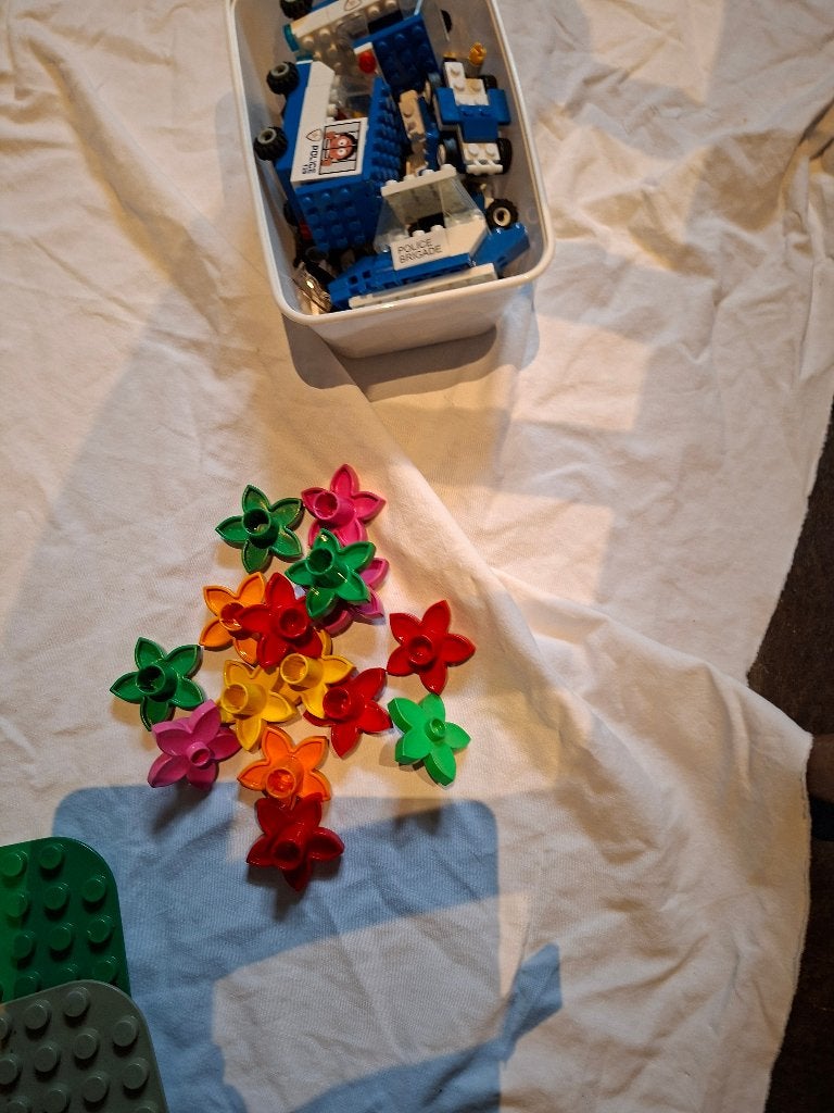 Foto 7 van lego duplo