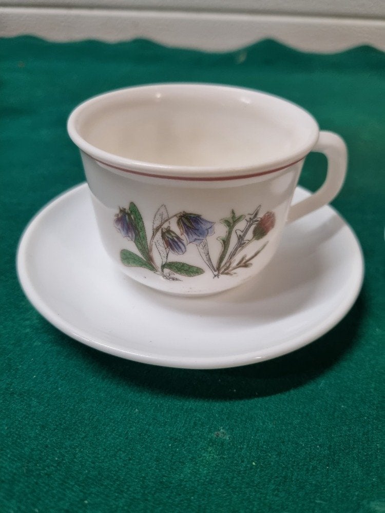 kop en schotel arcopal france bloemen, Antiek en Kunst, Antiek | Servies los, Ophalen of Verzenden