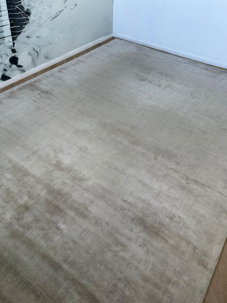 Brinker vloerkleed viscose 240x340XXL, Ophalen of Verzenden, 200 cm of meer, Rechthoekig, Nieuw