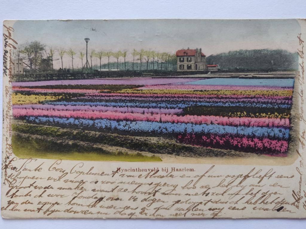 X1906 Haarlem 1901 naar Nieuwediep, Ophalen of Verzenden, Voor 1920, Noord-Holland