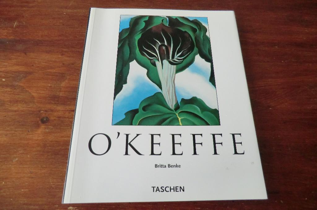 boek - Georgia O'Keeffe - 1887-1986 - Britta Benke, Ophalen of Verzenden, Zo goed als nieuw, Schilder- en Tekenkunst